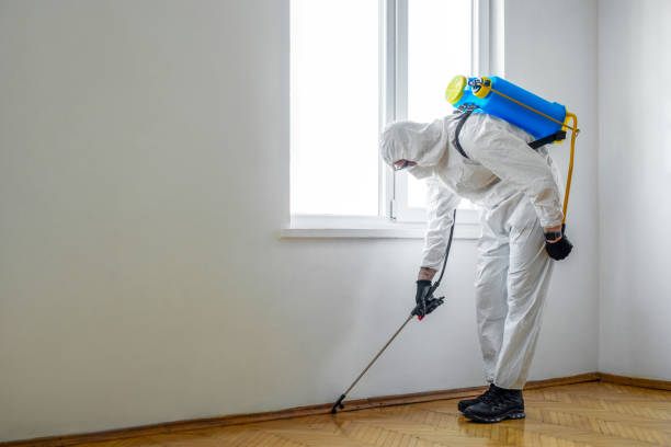 Best Rat Extermination Near Me  in Juneau, WI
