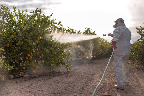 Best Mosquito Control Services  in Juneau, WI
