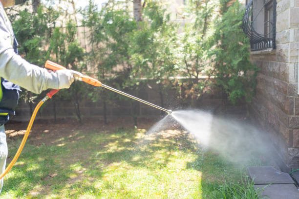 Best Affordable Pest Control Services  in Juneau, WI