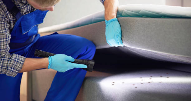 Best Rat Extermination Near Me  in Juneau, WI