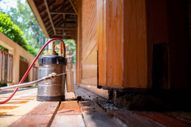Best Best Pest Control Companies  in Juneau, WI