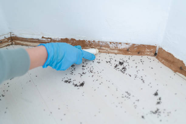 Best Commercial Pest Control Services  in Juneau, WI
