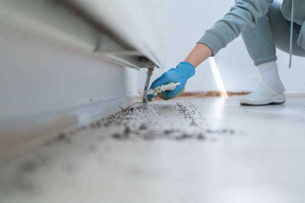 Best Mosquito Control Services  in Juneau, WI